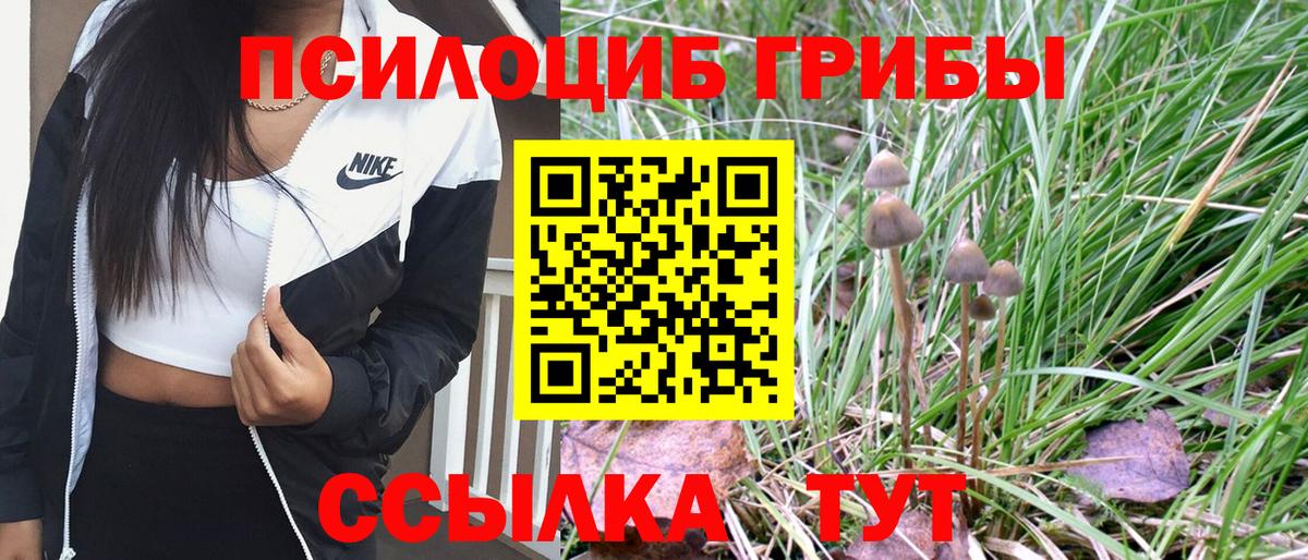 Псилоцибиновые грибы GOLDEN TEACHER Ижевск