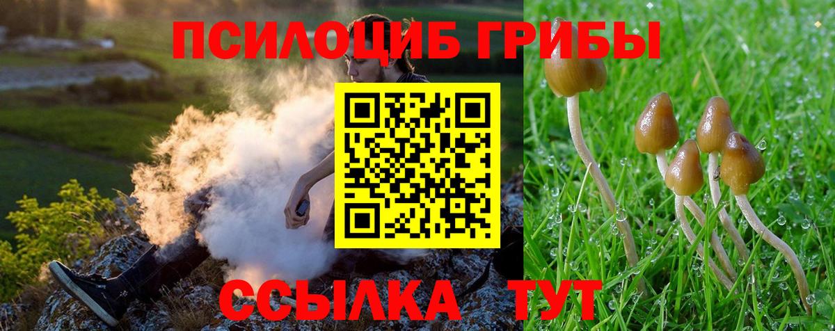 Галлюциногенные грибы GOLDEN TEACHER  Галлюциногенные грибы MAGIC MUSHROOMS  Ижевск  Вход с VPN 